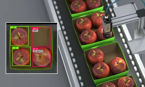 Une caméra IDS NXT vérifie l'intégrité et la qualité des pommes emballées sur un convoyeur.