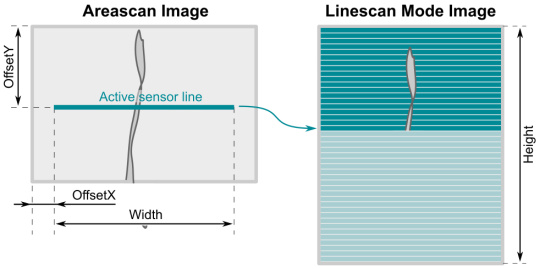 Configuration de la géométrie de l'image pour le mode de balayage linéaire