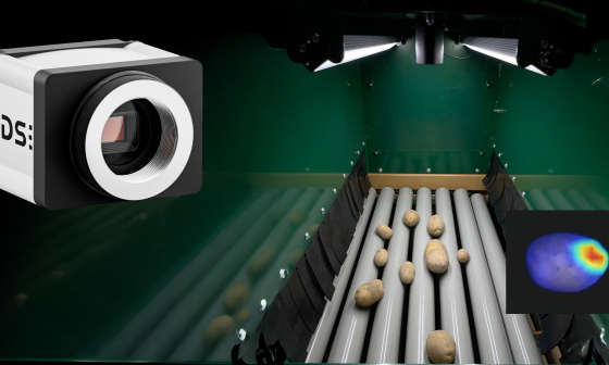 Système de tri des pommes de terre basé sur l’IA, équipé d’une caméra industrielle robuste, pour le contrôle optique de la qualité lors de la transformation à la ferme.