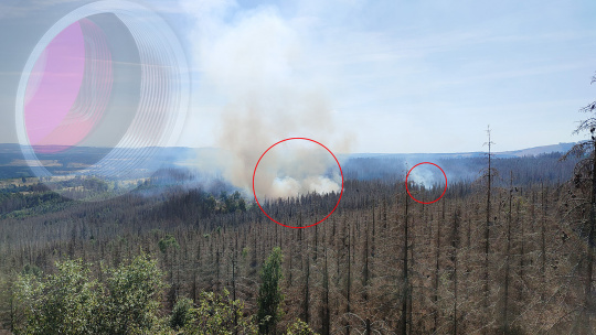 Un système de caméras détecte un foyer d'incendie dans la forêt