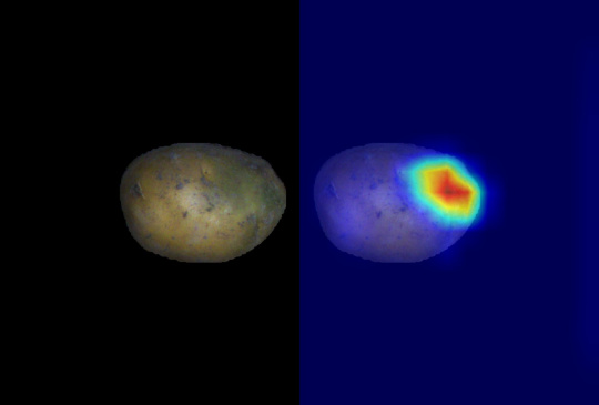 Pomme de terre avec analyse de surface par IA en mode comparatif, mettant en évidence les caractéristiques pertinentes par des couleurs.
