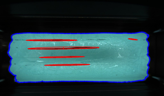 Analyse avec contour bleu et marquages rouges