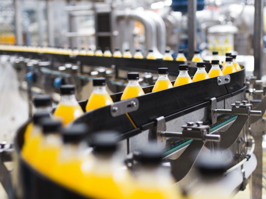 De nombreuses bouteilles de liquide jaune à bouchon noir sur un tapis roulant.