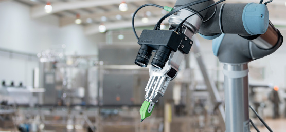 Bras de robot avec caméras IDS