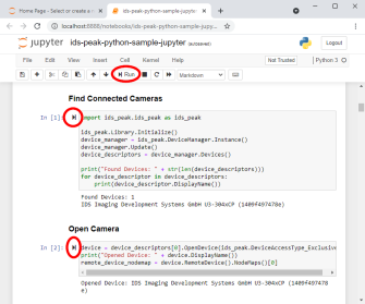 Exemple de code source Python IDS peak