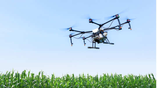 Drone agricole survolant un champ de maïs vert.