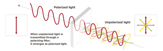 Une flèche montre l'évolution à travers un filtre de la lumière non polarisée à la lumière polarisée.