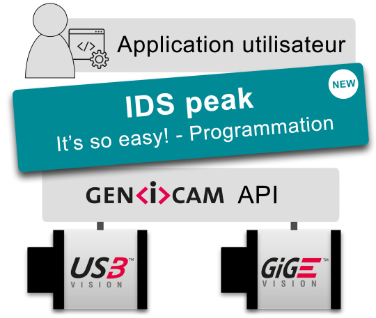 L'ancienne structure a été remplacée par IDS peak, qui est facile à programmer.