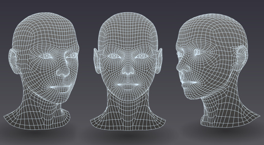 Modèle 3D du visage permet l'identification automatique