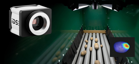 Système de tri des pommes de terre basé sur l’IA, équipé d’une caméra industrielle robuste, pour le contrôle optique de la qualité lors de la transformation à la ferme.