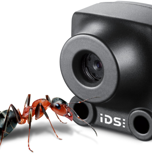 Caméra IDS XS et une fourmi pour comparer avant