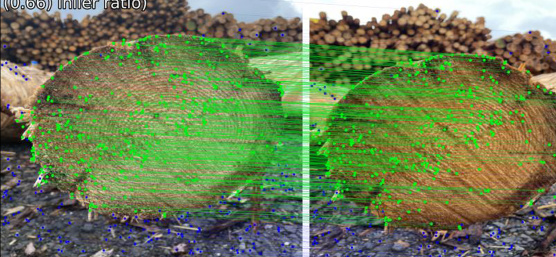 Reconnaissance de troncs d'arbres individuels à partir de caractéristiques visuelles dans les données d'image