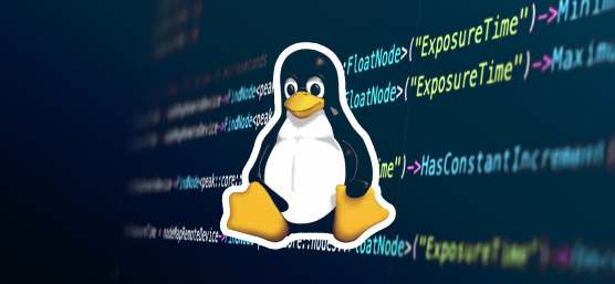 Logo Linux et code de programmation