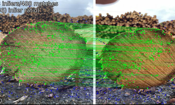 Reconnaissance de troncs d'arbres individuels à partir de caractéristiques visuelles dans les données d'image