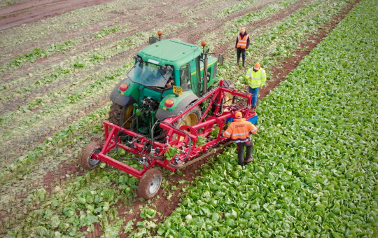 Prototype de robot de récolte de laitues d'Agri-Epicentre (Royaume-Uni)