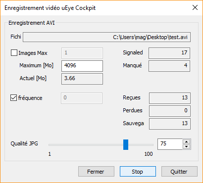 Capture d'écran de la suite logicielle IDS affichant la boîte de dialogue Enregistrer.