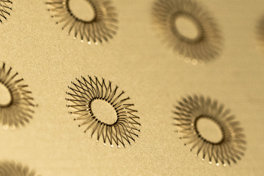 Cercles sur une plaque en or