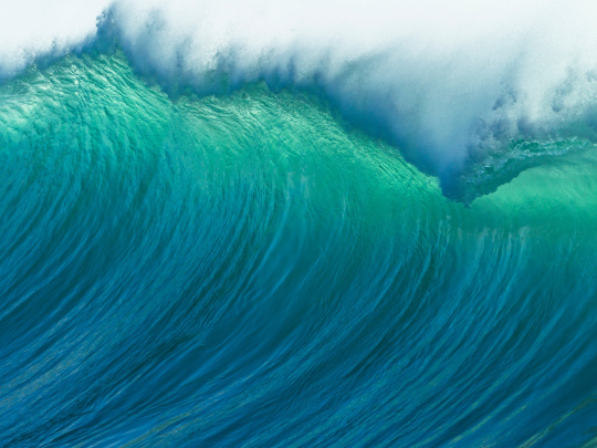 Une vague turquoise, symbole de durabilité chez IDS