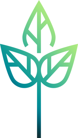 Icône de la plante aux couleurs d'IDS, symbolisant la stratégie de développement durable d'IDS.