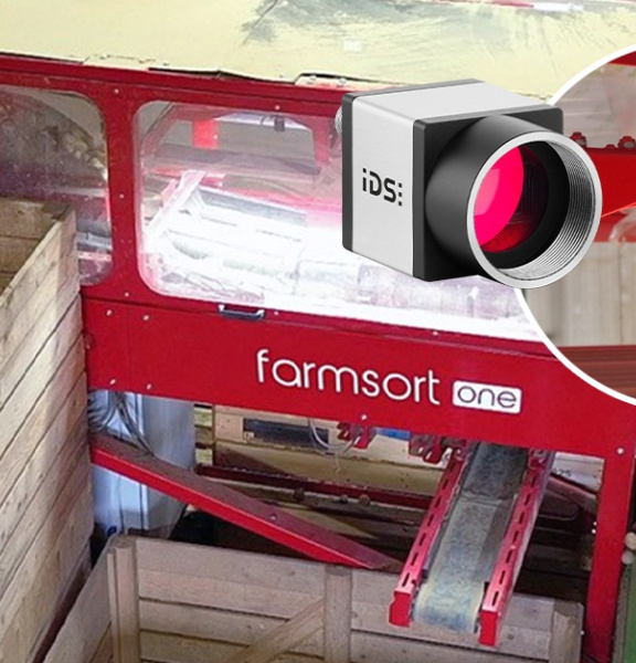 Une caméra industrielle IDS surveille le tri de pommes de terre dans l'installation farmsort